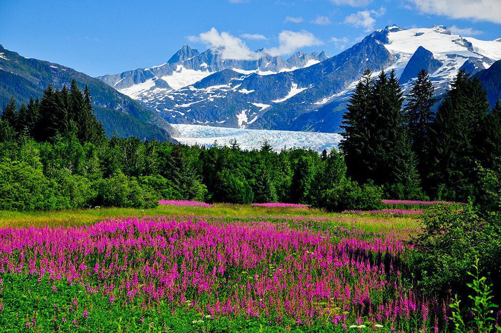 Alaska