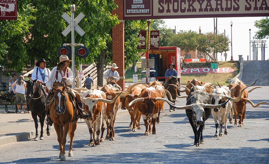 Texas & The South