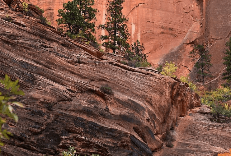 Zion National Park