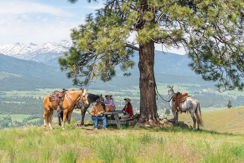 Triple Creek Ranch paardrijden en uitrusten op een picknickmand onder een boom in een veld