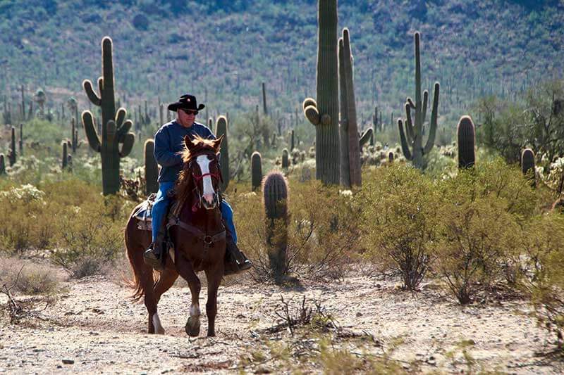 White stallion Ranch paardrijden tussen cactussen